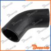 Gaine de suralimentation pour CITROEN | GPP-CT-031, 09-0491
